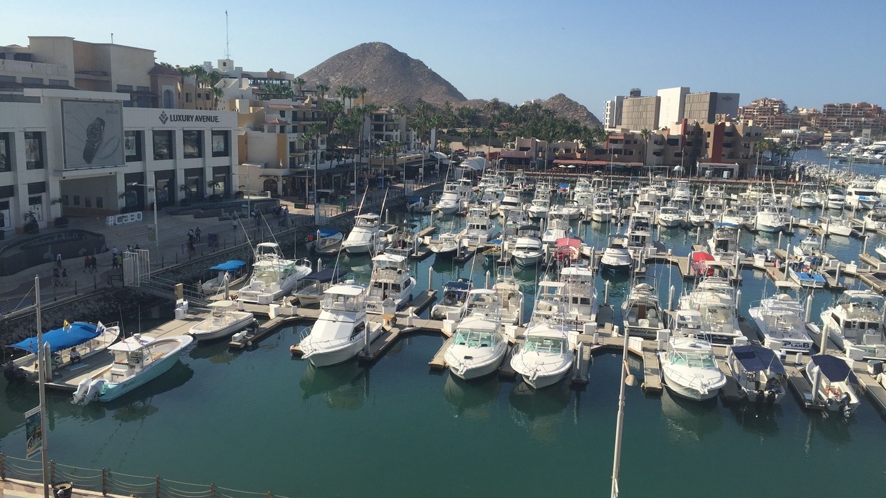 Photo of Others in Marina