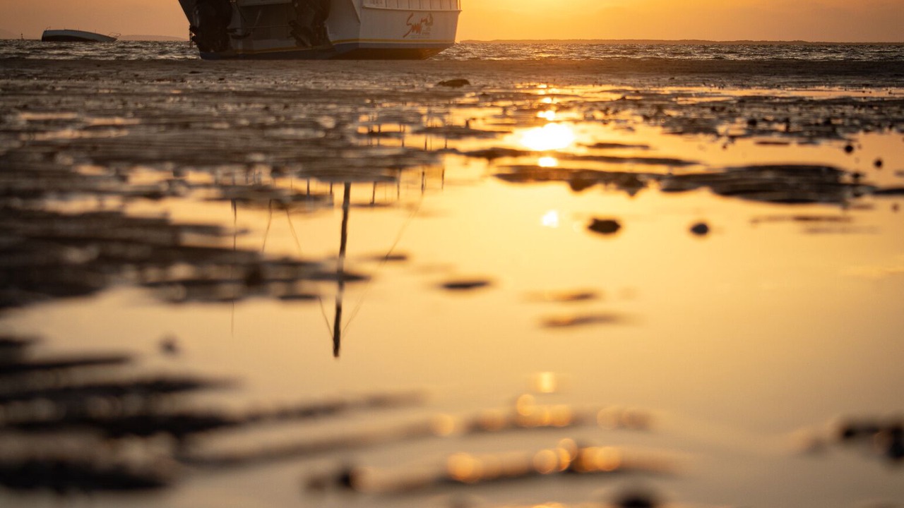Photo of Others in Puerto San Carlos