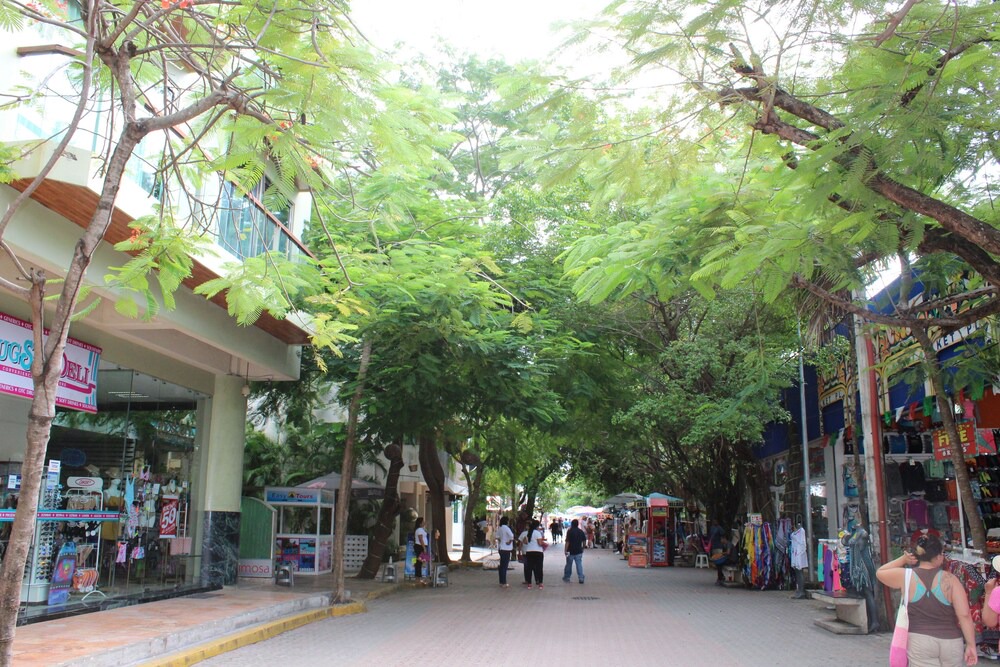Photo of Outdoor in Gonzalo Guerrero