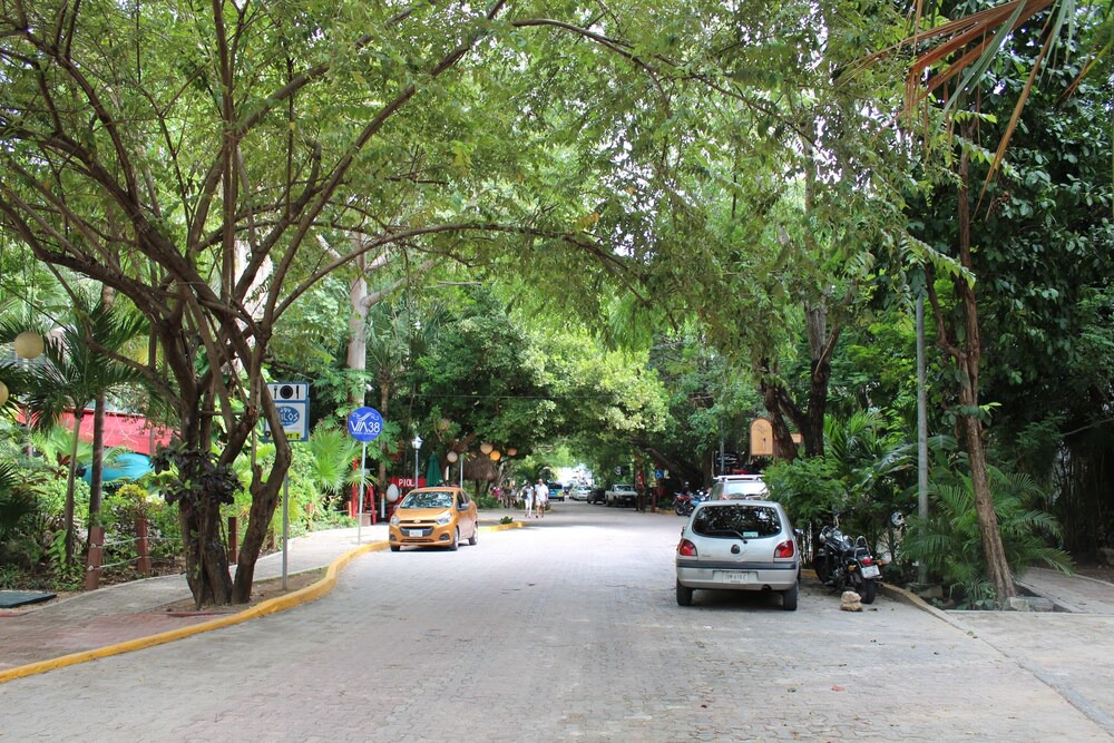 Photo of Others in Gonzalo Guerrero