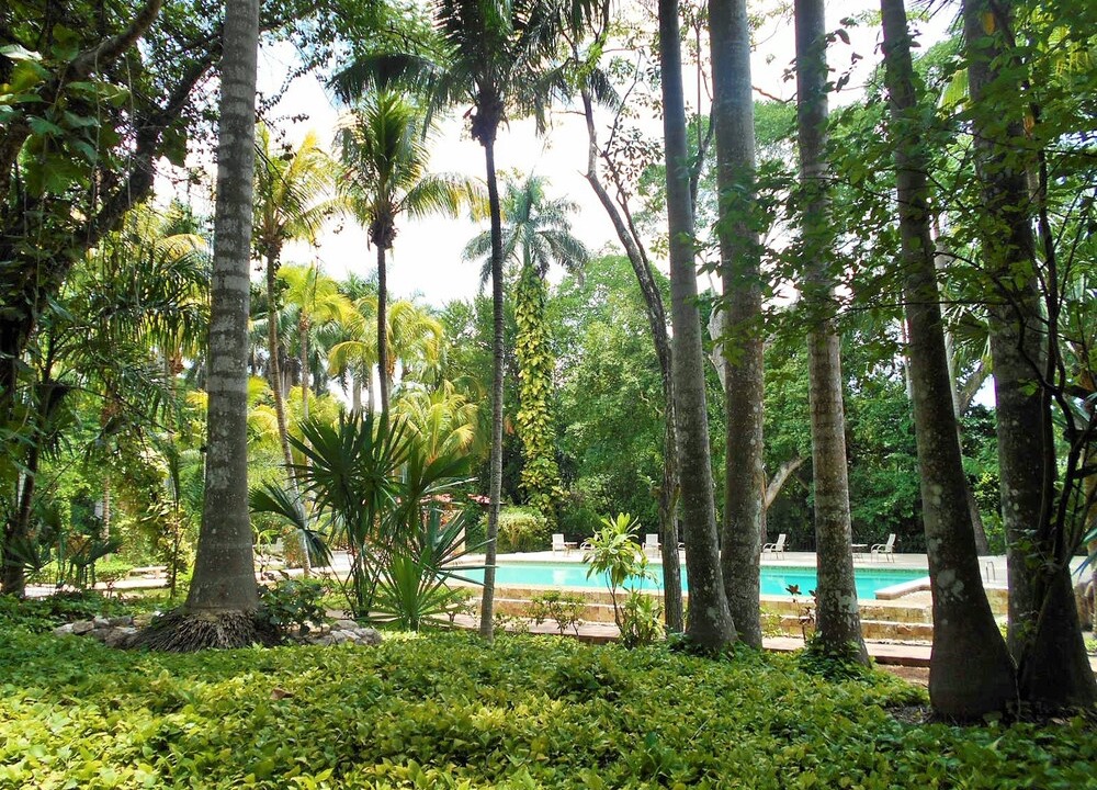 Photo of Outdoor in Chichen Itza
