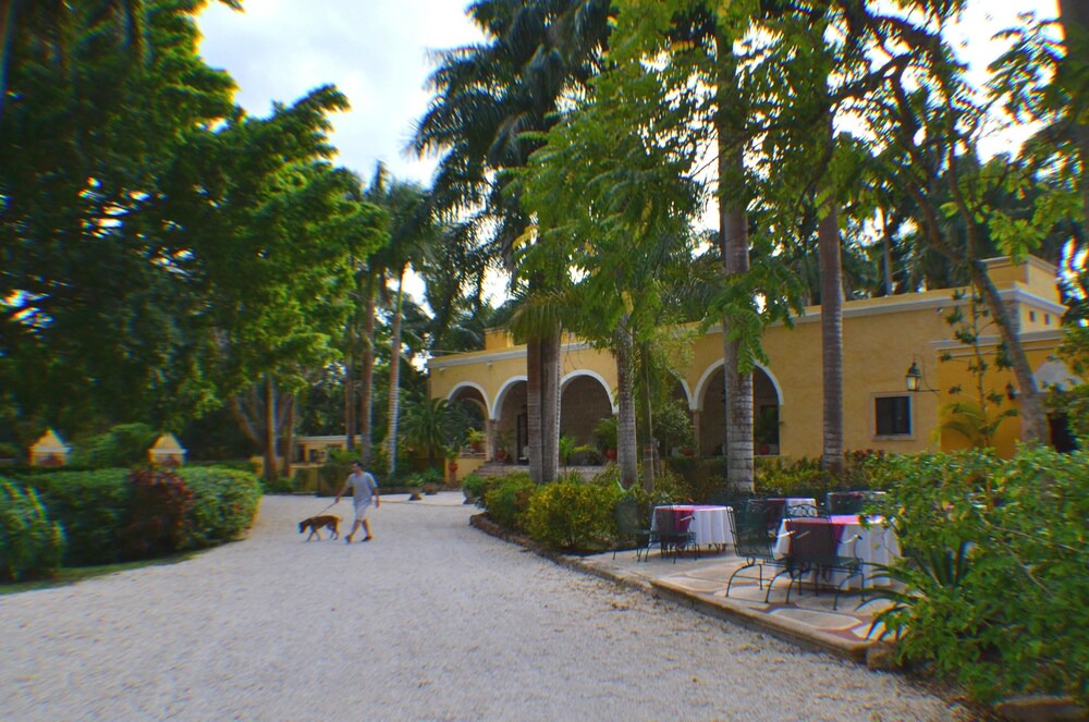 Photo of Outdoor in Chichen Itza