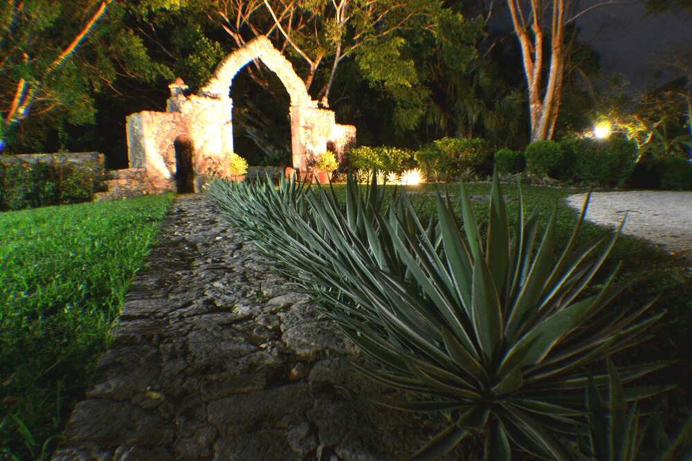 Photo of Outdoor in Chichen Itza