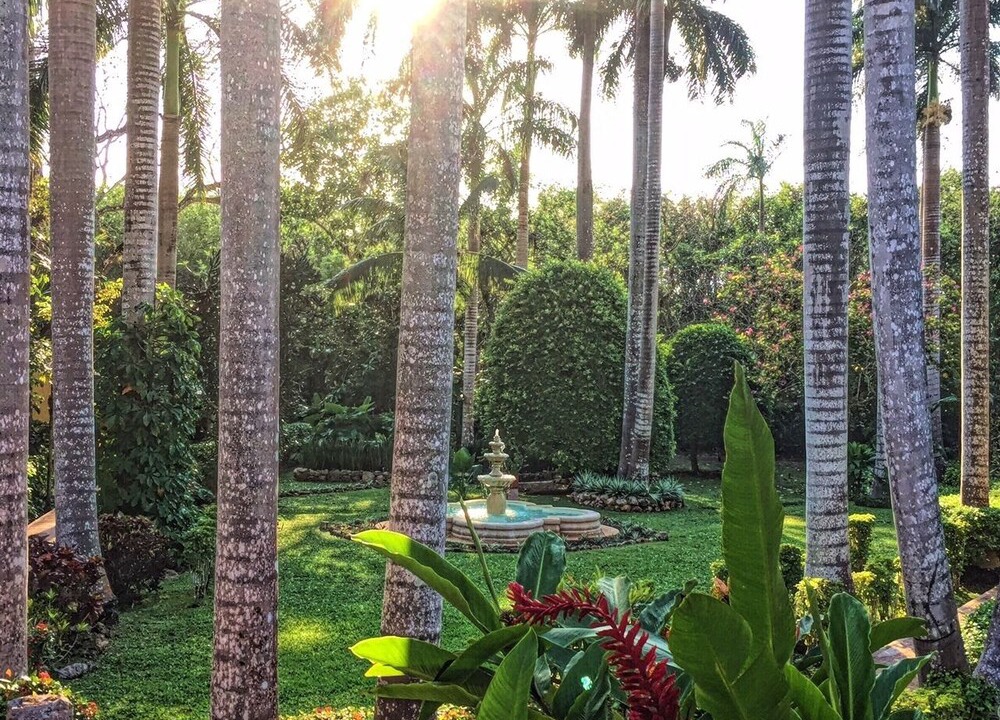 Photo of Outdoor in Chichen Itza