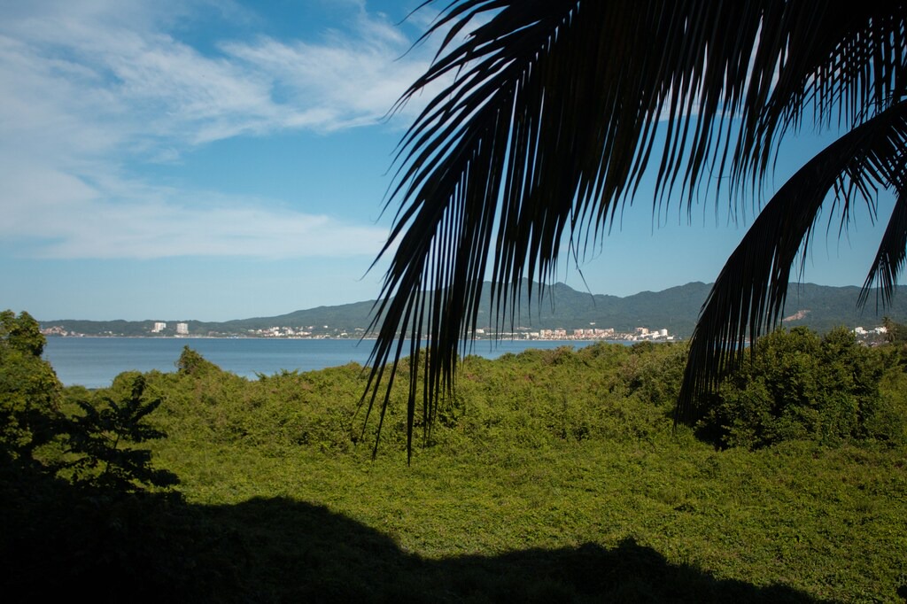 Photo of Outdoor in Flamingos