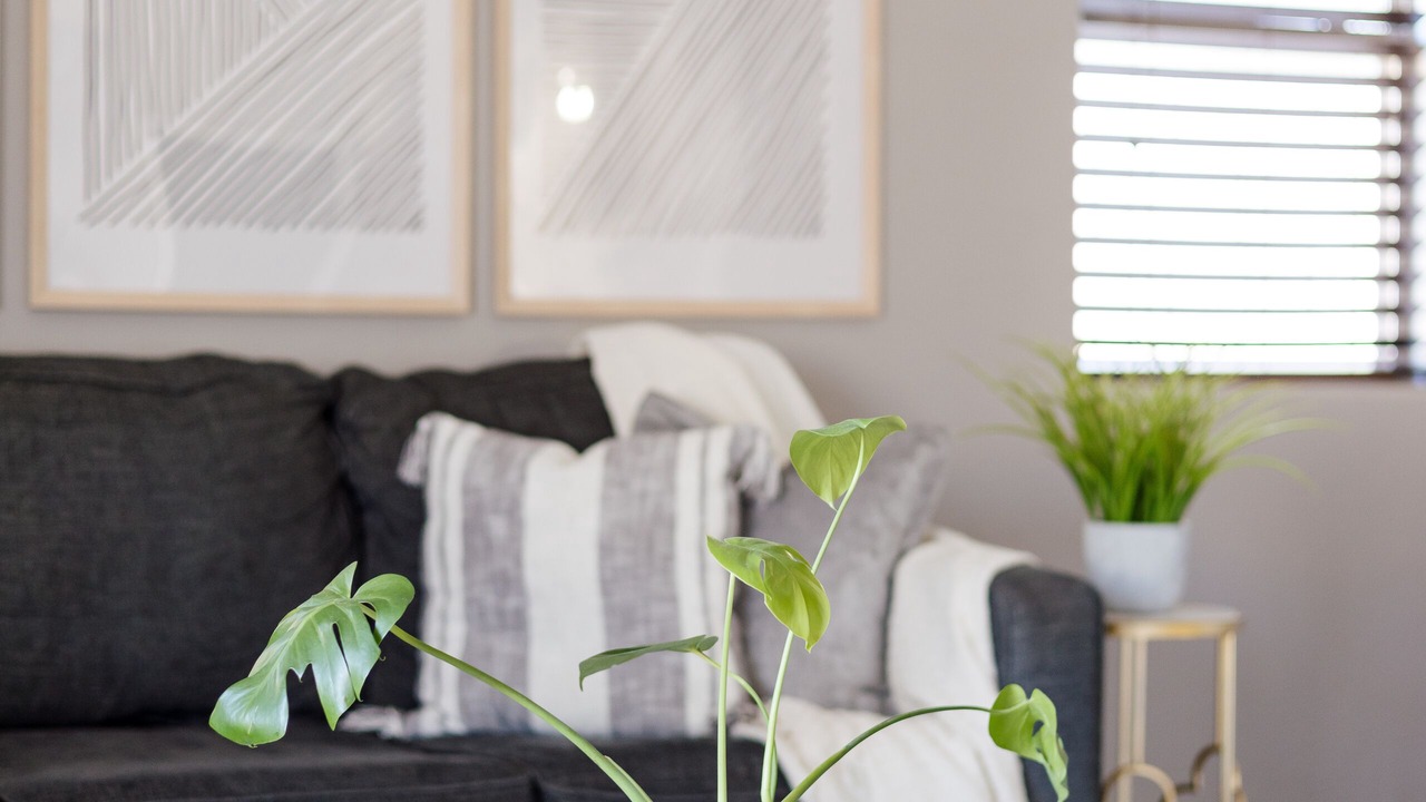 Photo of Livingroom in Avondale