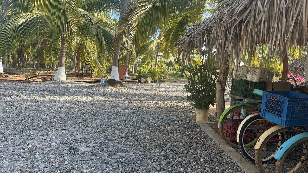Photo of Outdoor in Saladita
