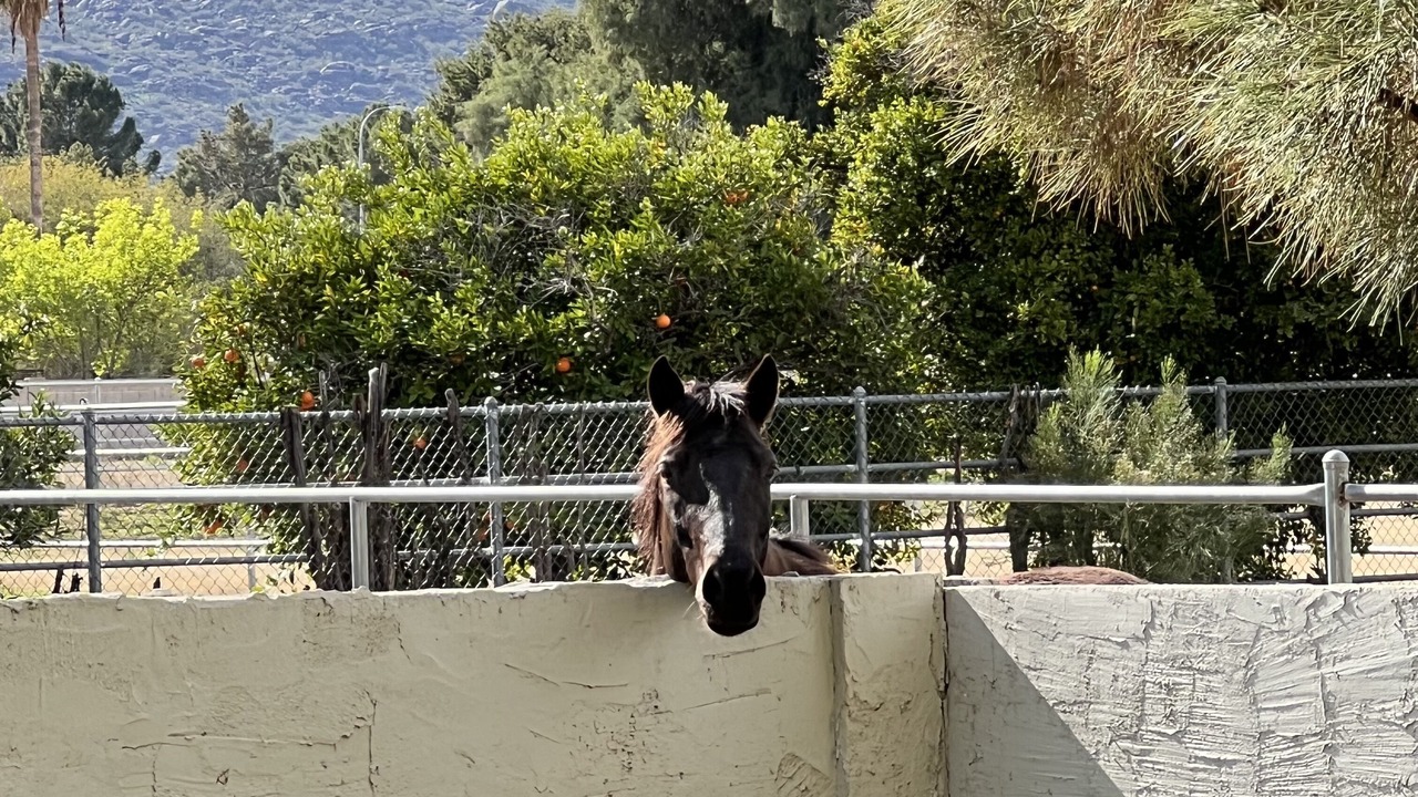 Photo of Outdoor in South Mountain