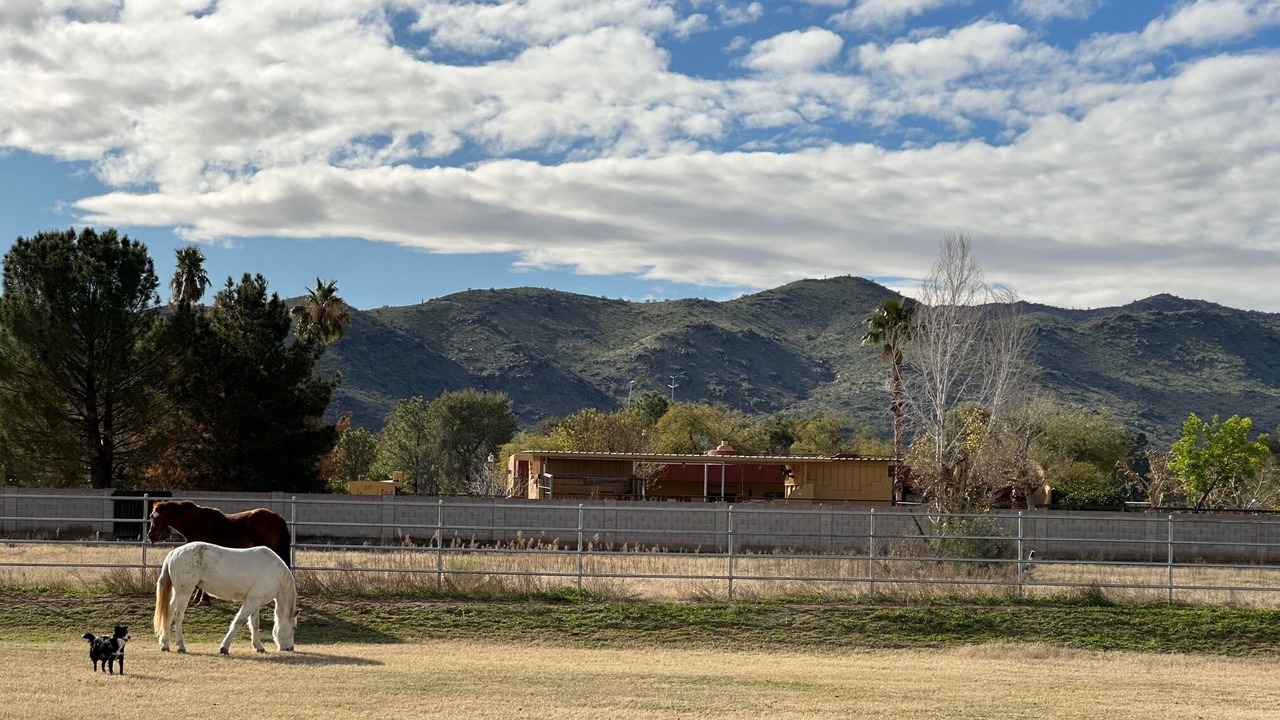 Photo of Outdoor in South Mountain