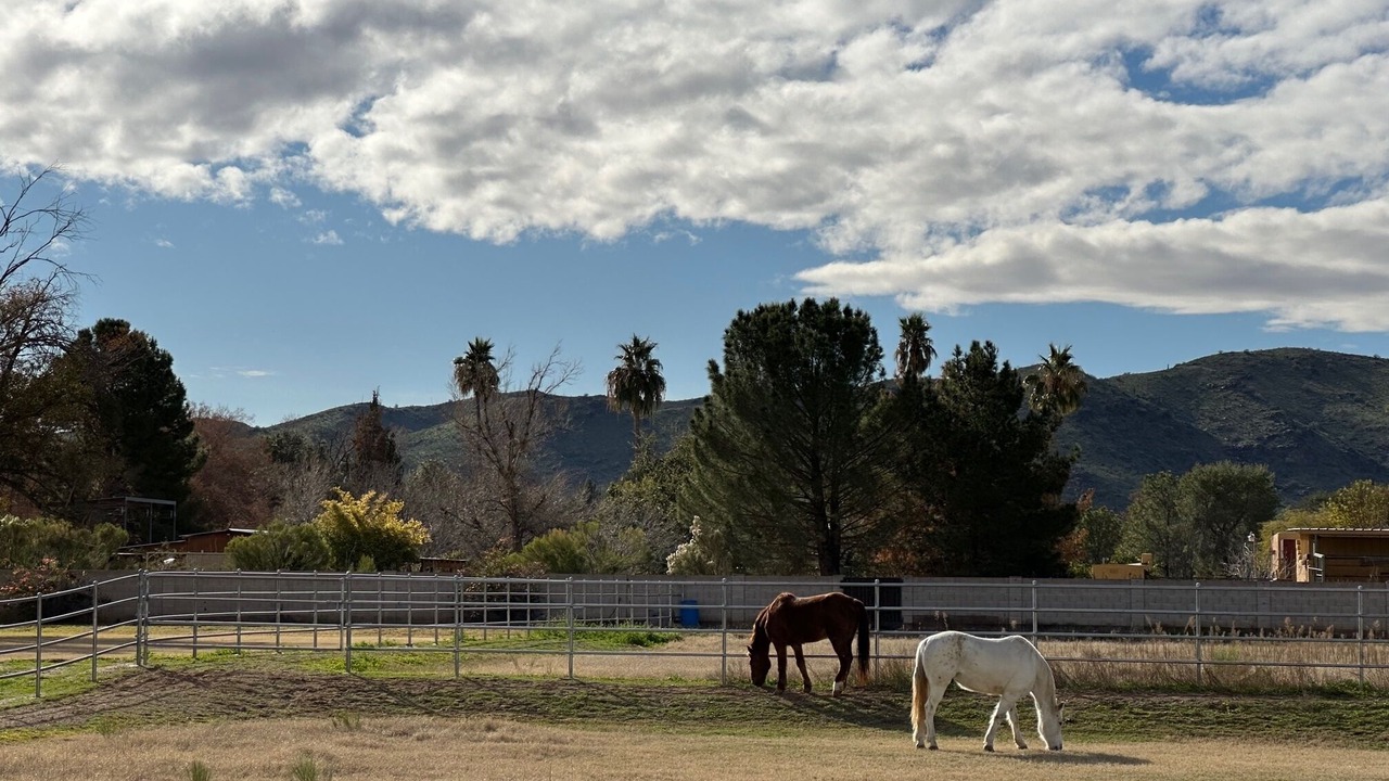 Photo of Outdoor in South Mountain