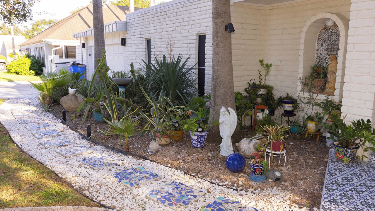 Photo of Outdoor in Palm Valley
