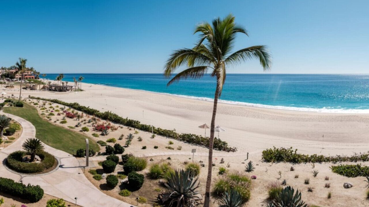 Photo of Others in San Jose del Cabo