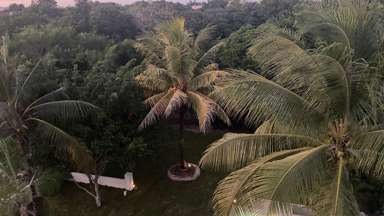 Photo of Outdoor in Puerto Aventuras