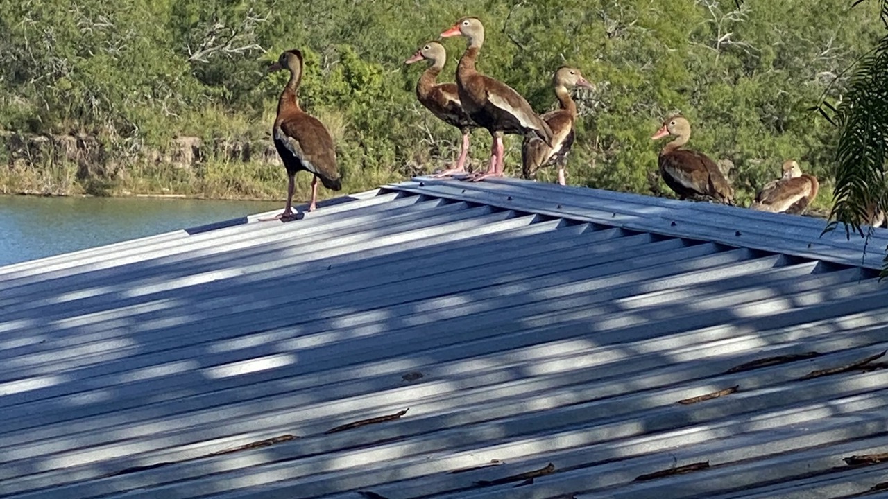 Photo of Others in Rio Hondo
