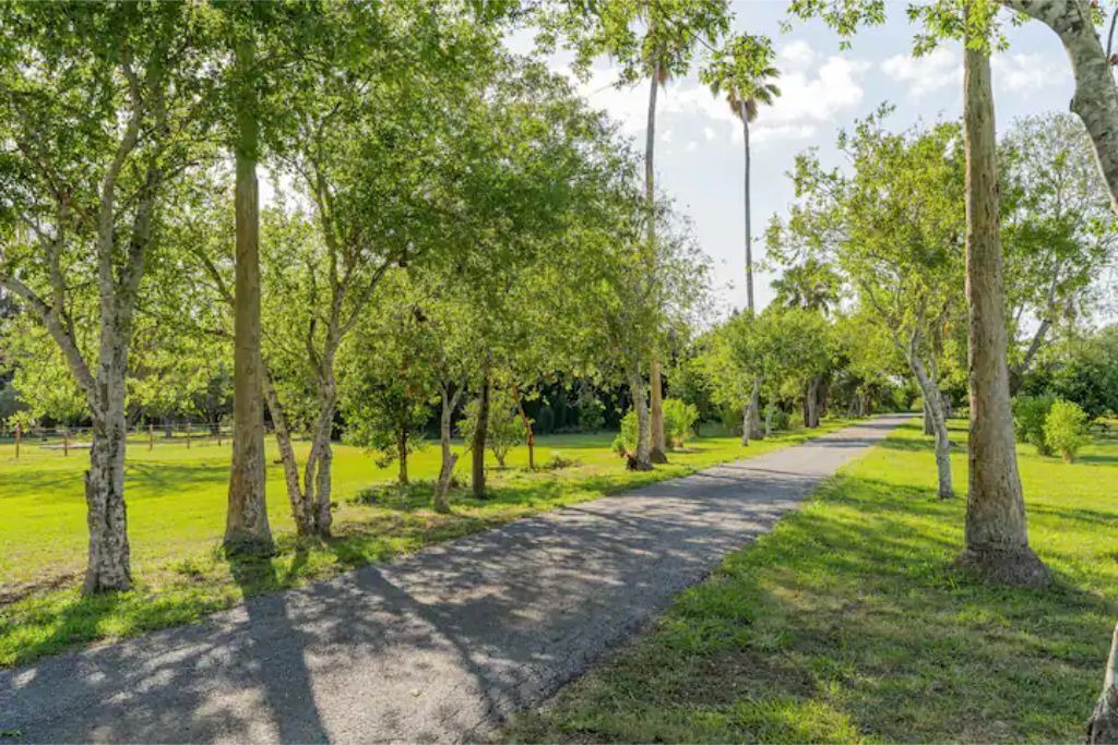 Photo of Outdoor in Los Fresnos