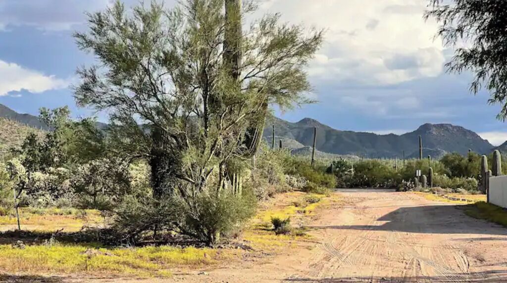 Photo of Outdoor in Picture Rocks