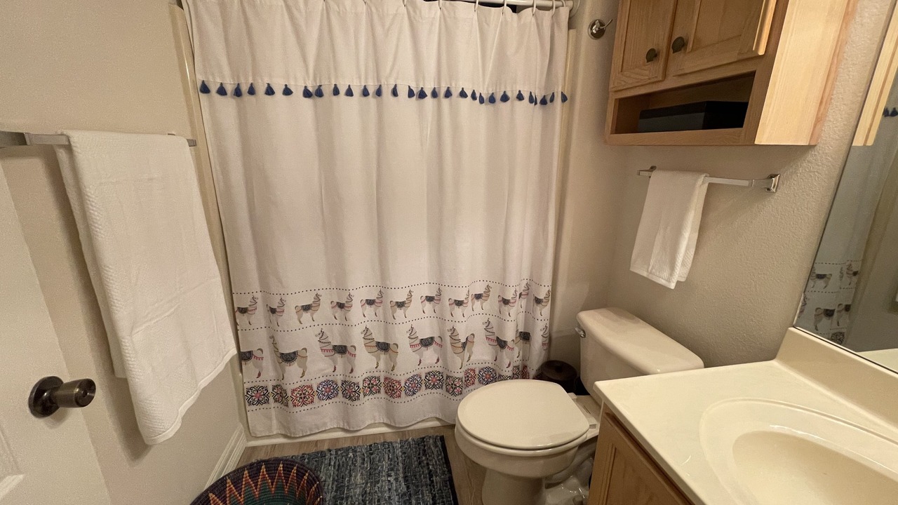Photo of Bathroom in Laguna Vista