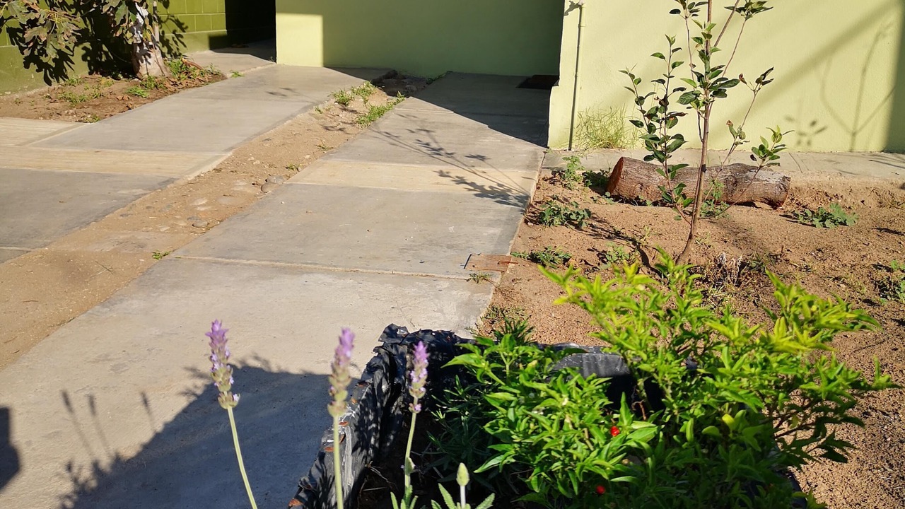 Photo of Outdoor in Triangulo de Oro