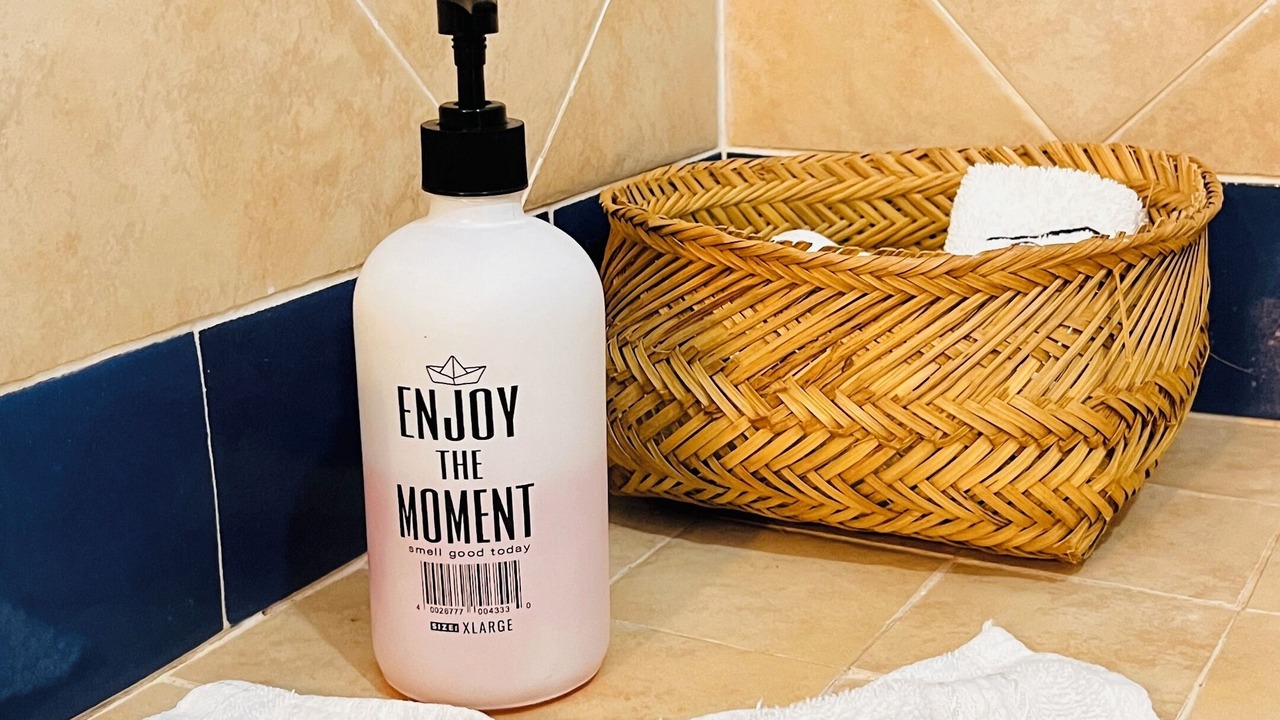 Photo of Bathroom in San Jose Ixtapa