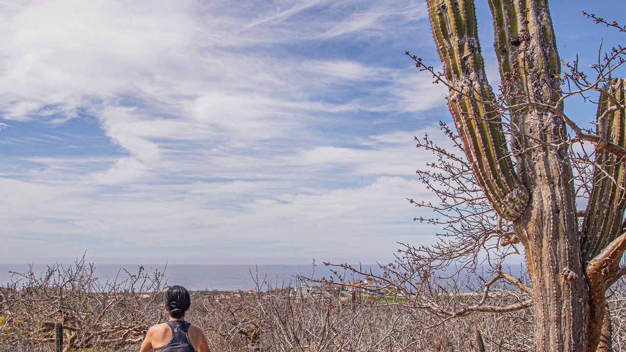 Photo of Others in Los Cangrejos II y III