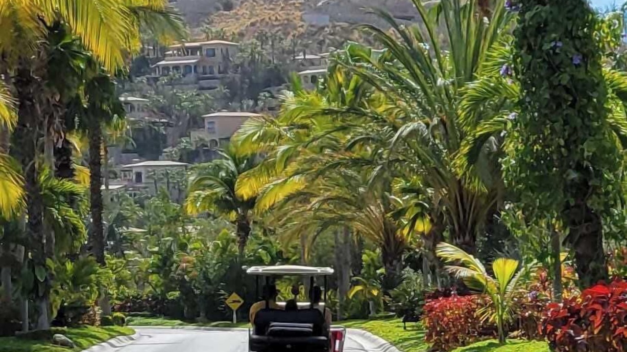 Photo of Others in Palmilla