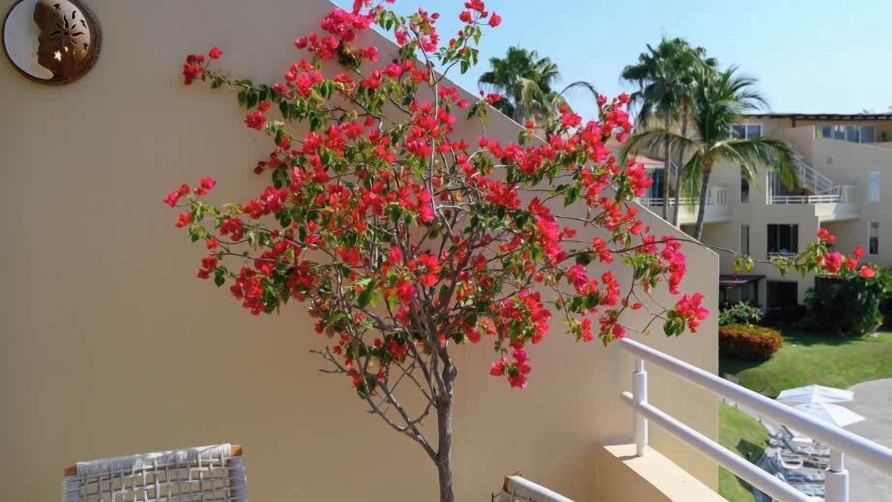 Photo of Outdoor in Punta de Mita