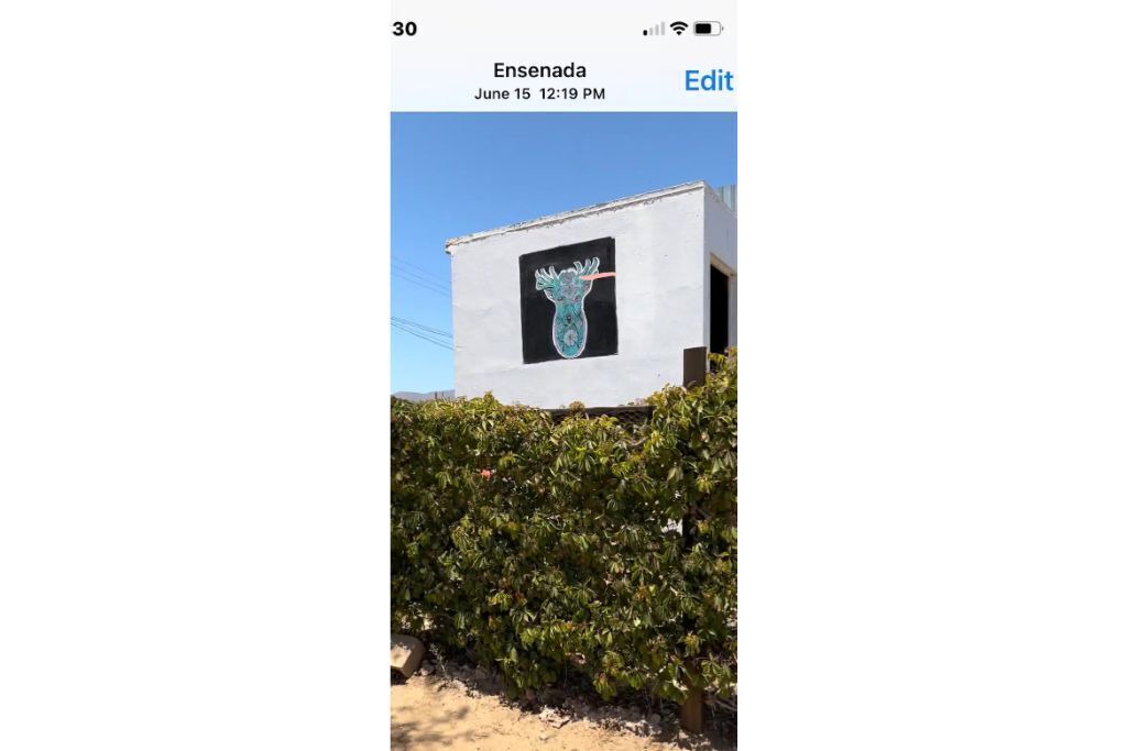 Photo of Others in Ensenada
