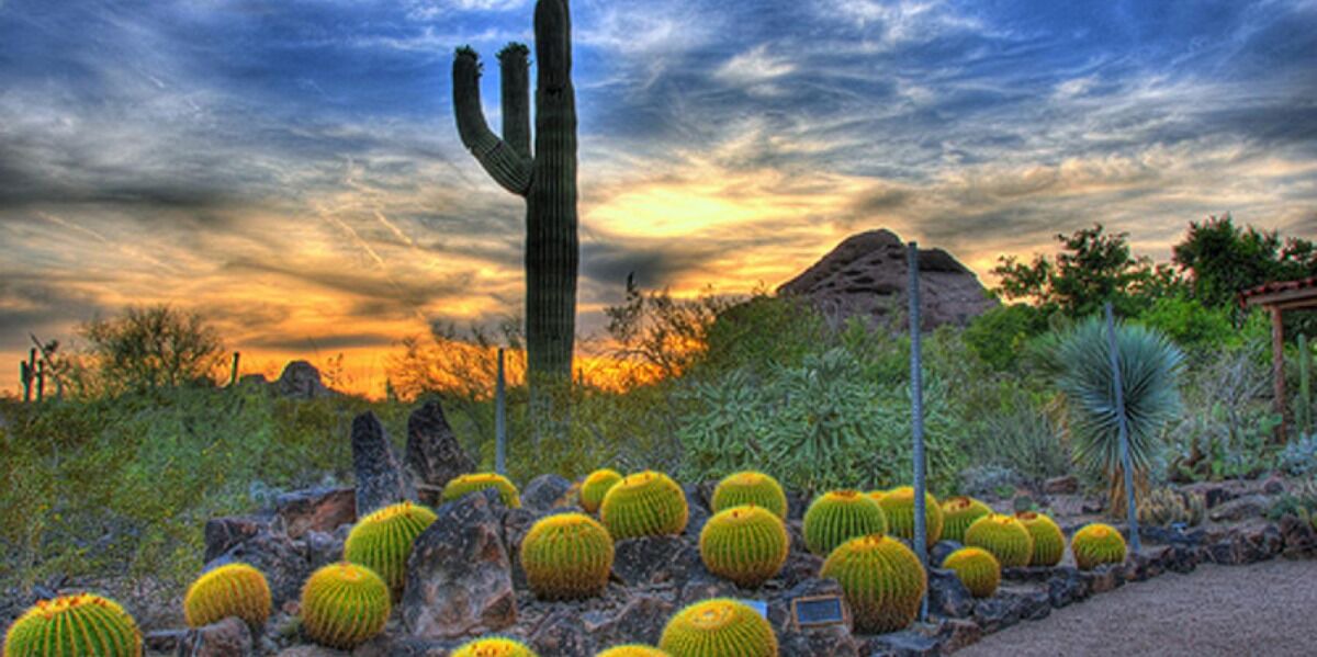 Photo of Outdoor in Tempe