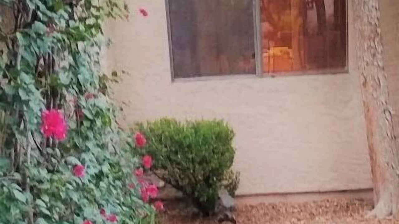 Photo of Outdoor in Tempe