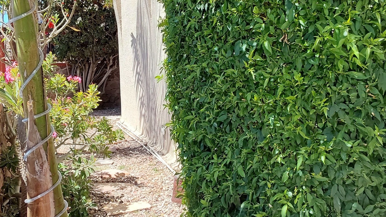 Photo of Outdoor in San Carlos