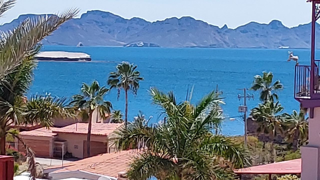Photo of Others in San Carlos