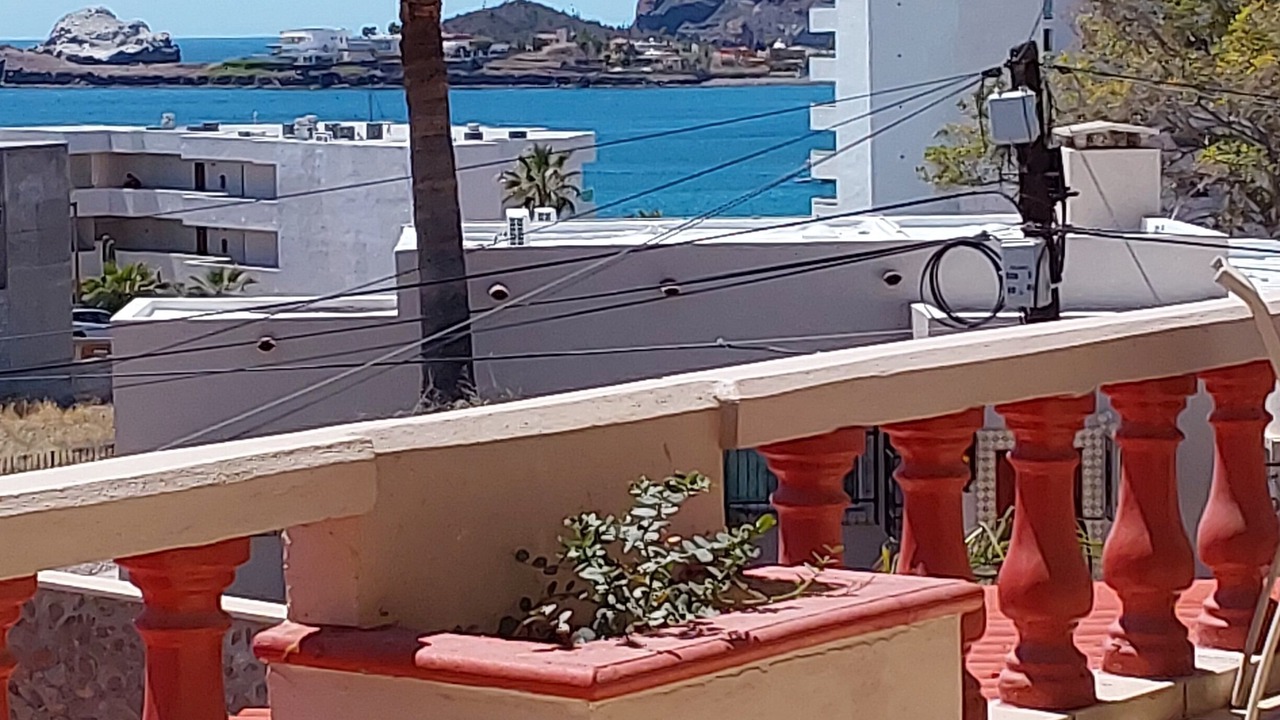 Photo of Outdoor in San Carlos