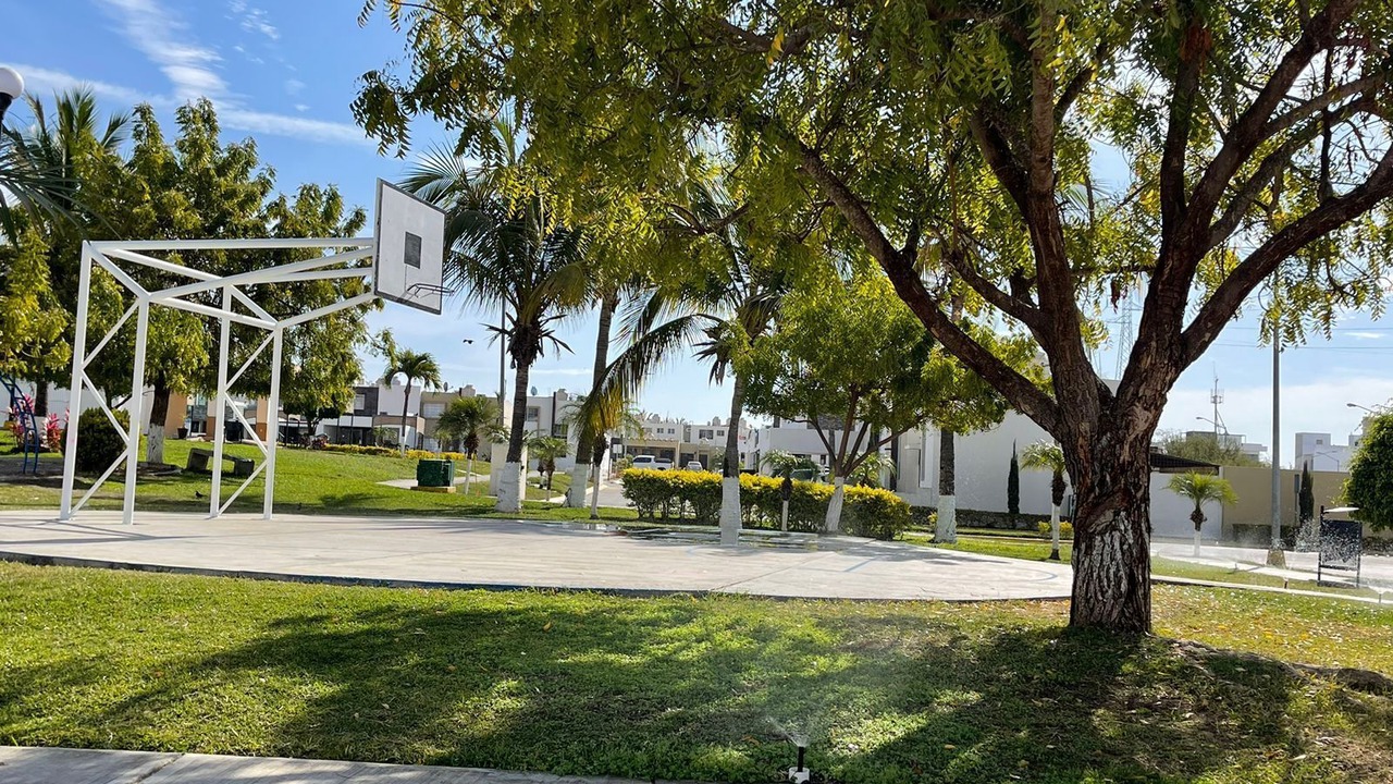 Photo of Others in Mazatlan