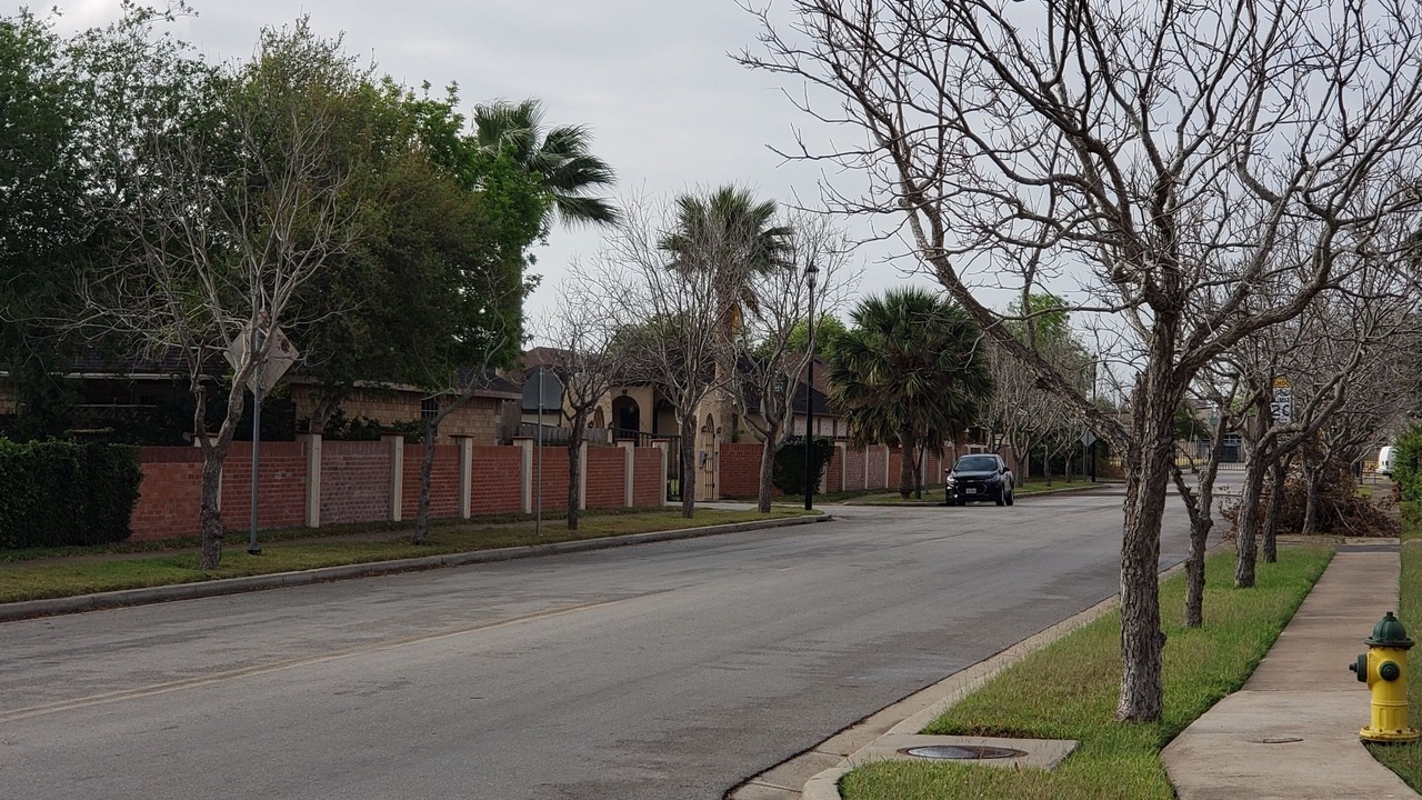 Photo of Others in Brownsville