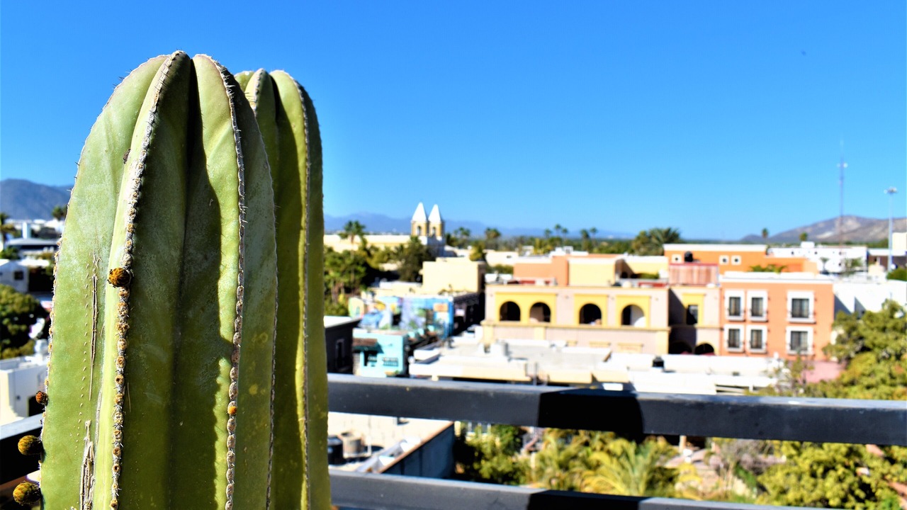 Photo of Patio Balcony in Downtown San Jose del Cabo
