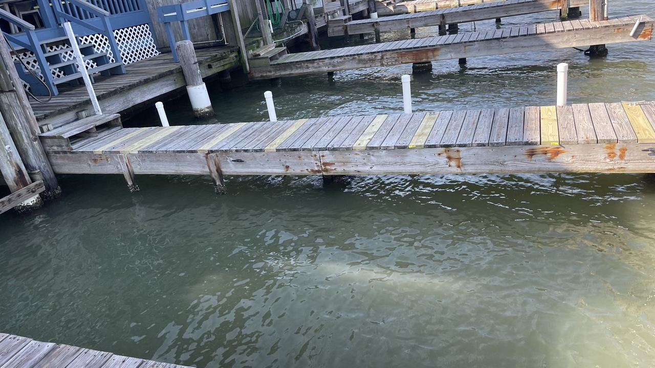 Photo of Others in Port Mansfield