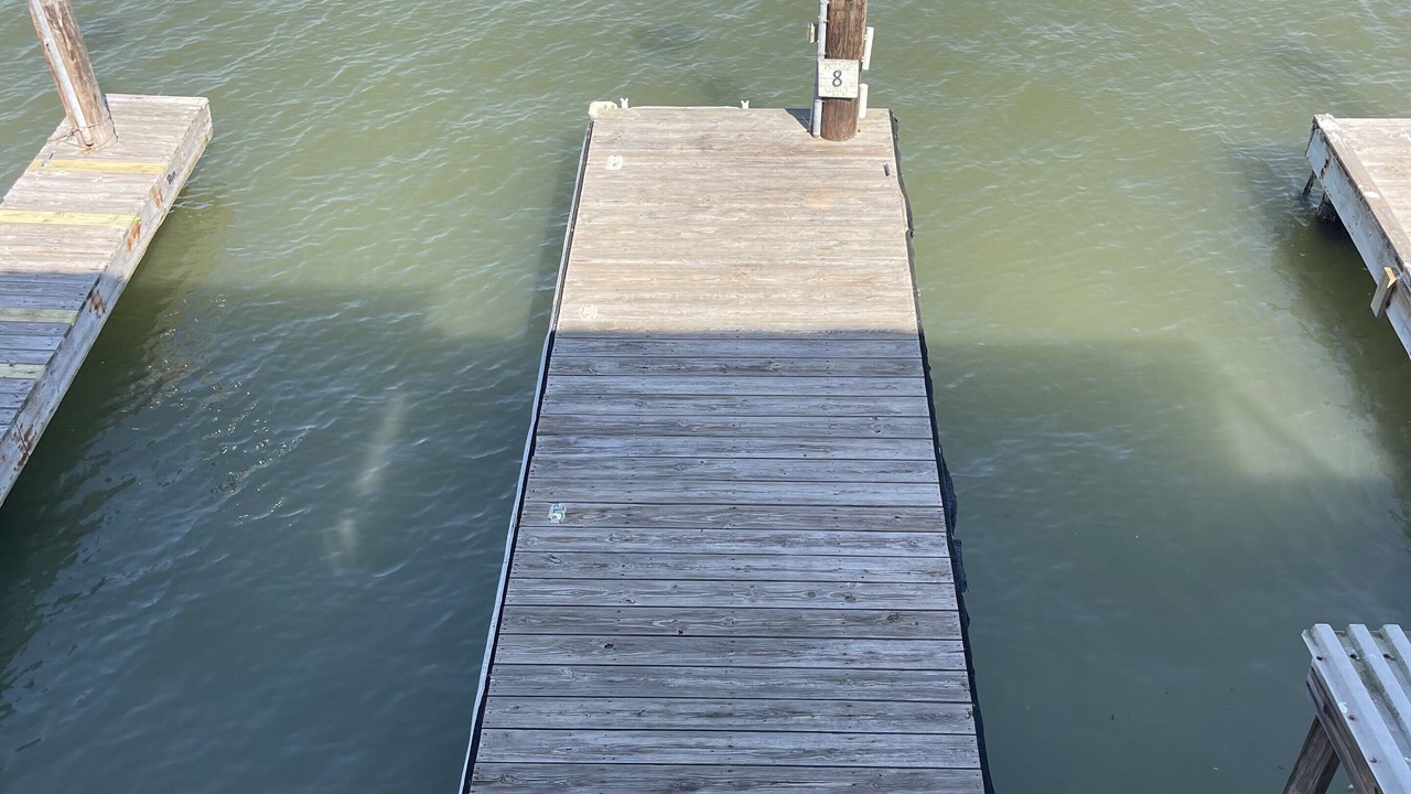 Photo of Others in Port Mansfield