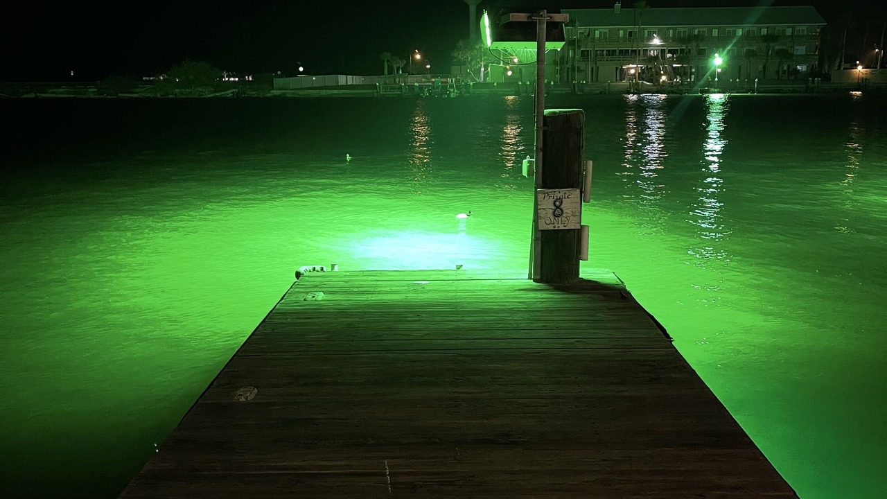 Photo of Others in Port Mansfield