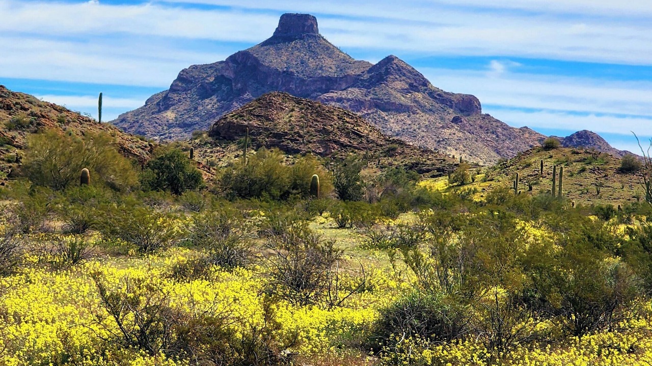 Photo of Others in Ajo