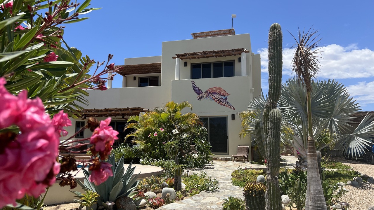 Photo of Outdoor in Todos Santos
