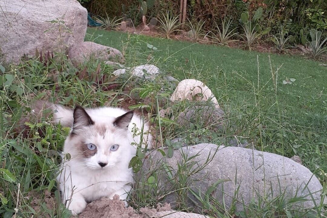 Photo of Outdoor in Puerto Vallarta