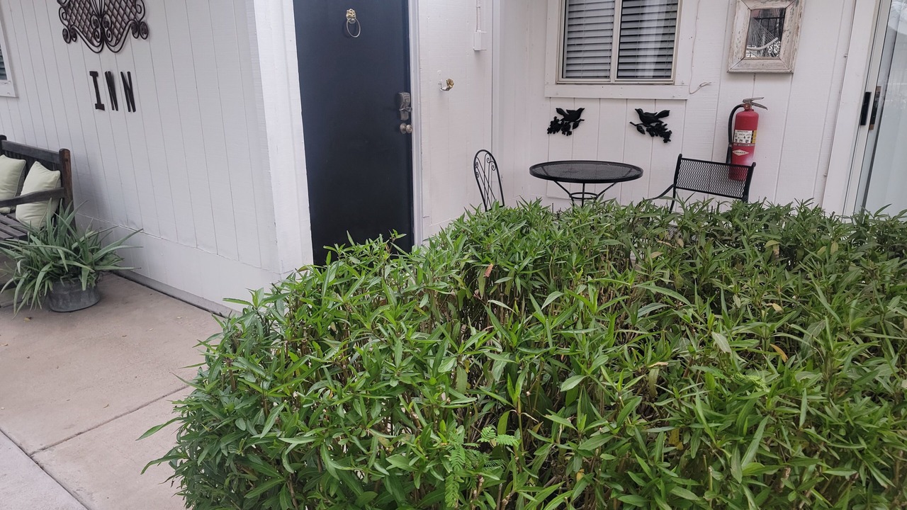 Photo of Outdoor in Alhambra