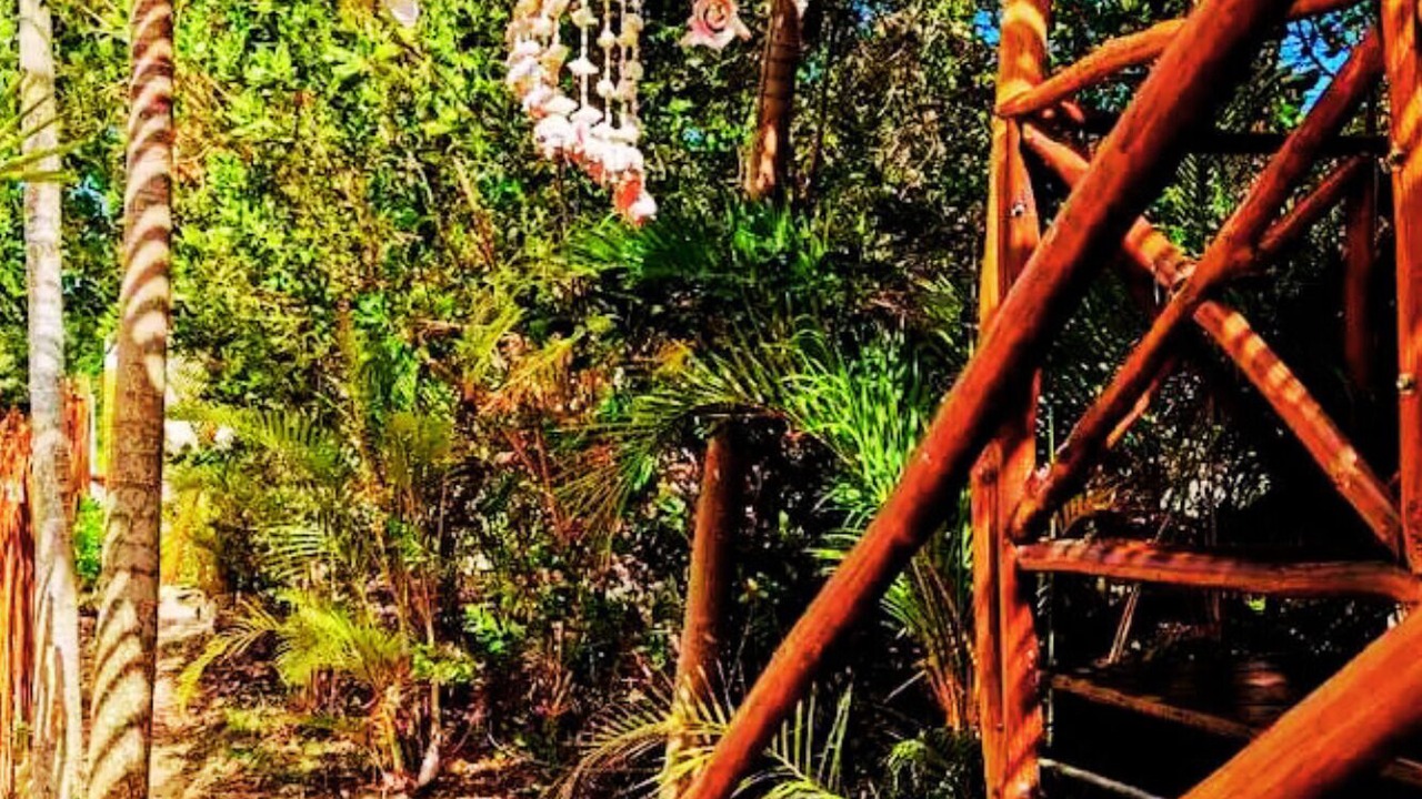 Photo of Outdoor in Isla Holbox