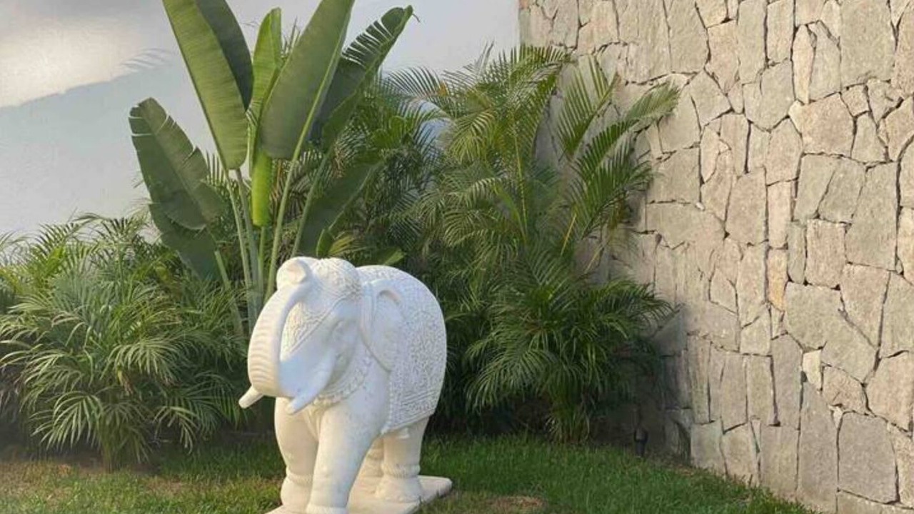 Photo of Outdoor in Manzanillo