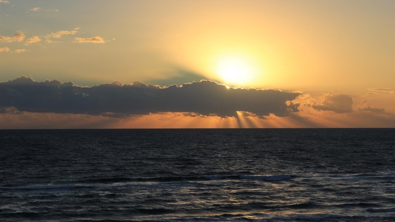 Photo of Others in South Padre Island