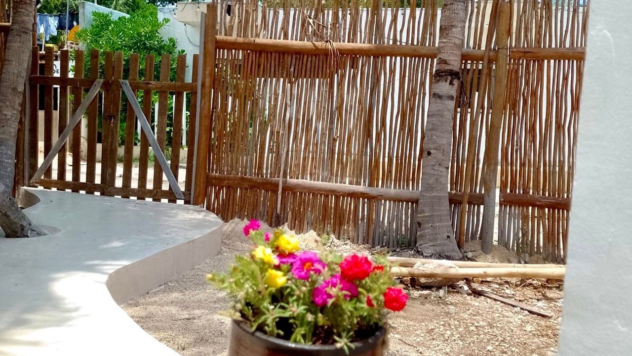Photo of Others in Isla Holbox