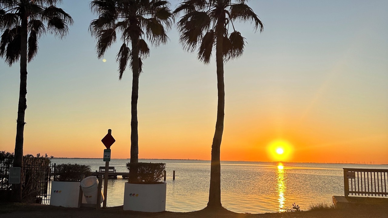 Photo of Outdoor in The Shores