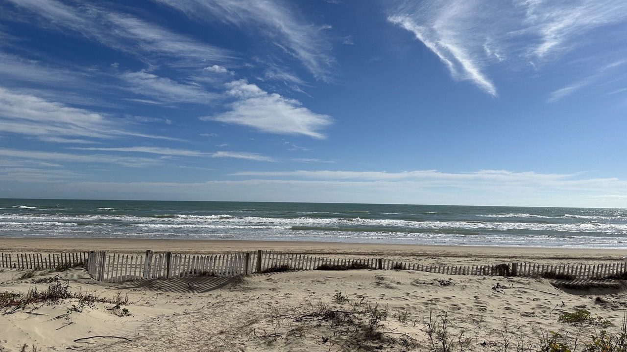 Photo of Others in The Shores