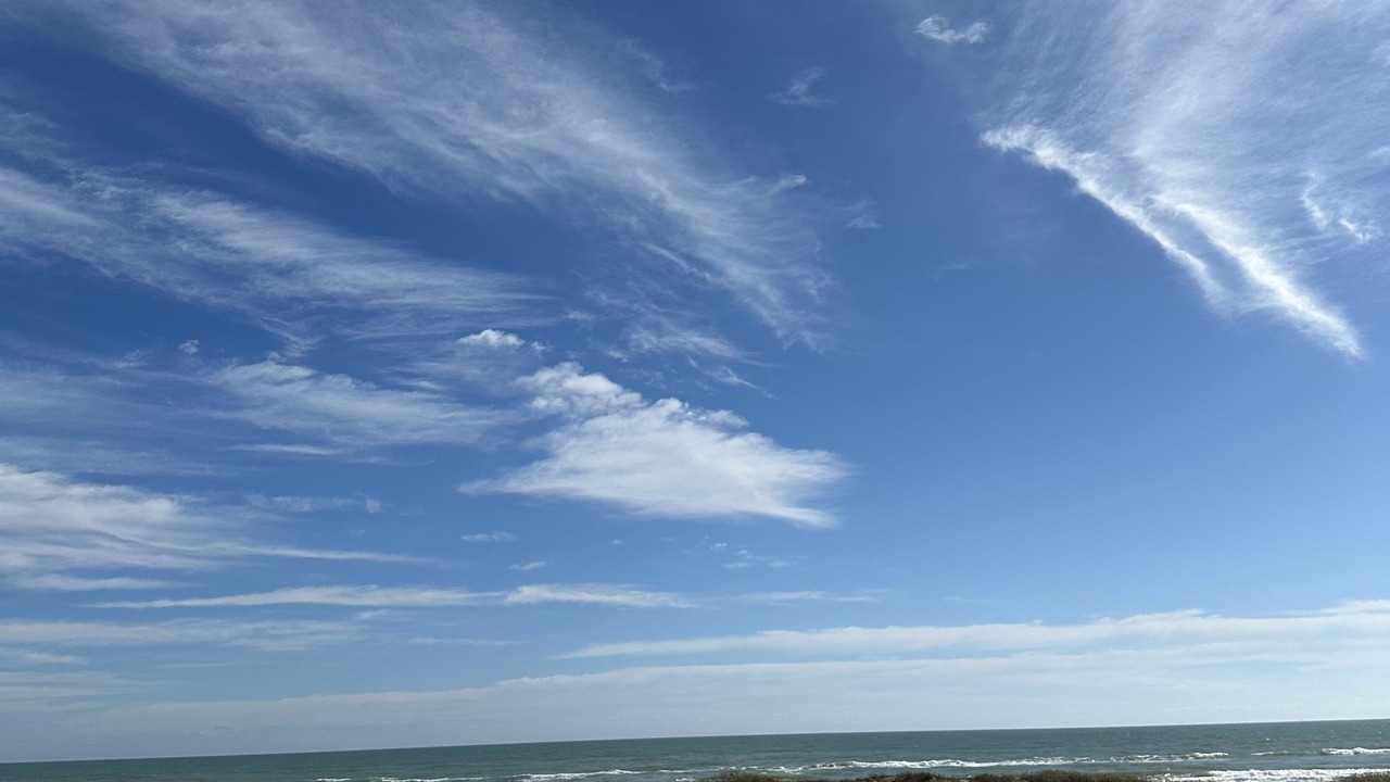 Photo of Others in The Shores