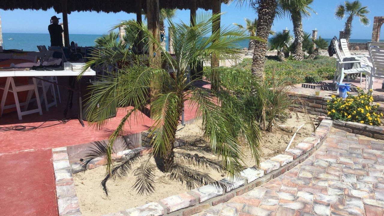 Photo of Others in San Felipe